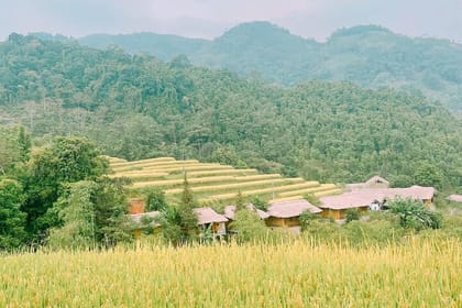 Private Car 2 Days 1 Night Hoang Su Phi in Hagiang