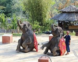 PHUKET-PHANG NGA: Full Day Adventure Rafting-Zipline, ATV, Elephant bby your choice with Lunch 10