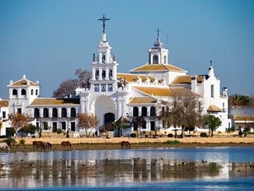 Donana National Park Tour