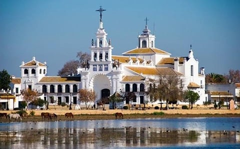 Doñana Natural Park Full-Day Tour from Seville