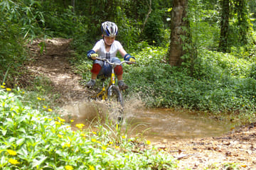 Mountain Bike Tour in Chiang Mai's Rainforest and Lake
