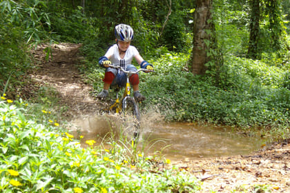 Mountain Bike Tour in Chiang Mai's Rainforest and Lake