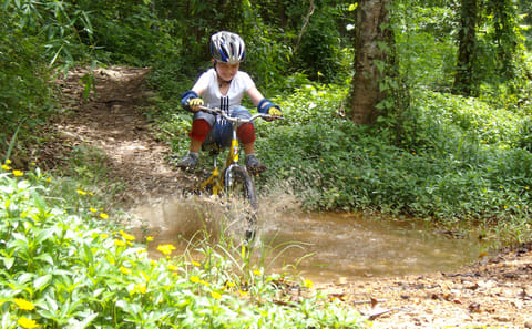 Mountain Bike Tour in Chiang Mai's Rainforest and Lake
