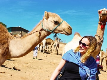 Private Tour: Birqash Camel Market Authentic Cairo Experienc