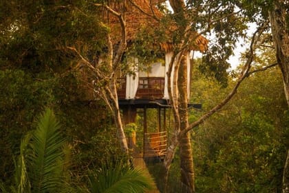 Treehouse Lodge, Short Break (On Request)
