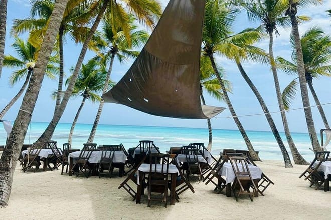 Saona Island Full Day Tour with Buffet Lunch, Paella, & Open Bar 4