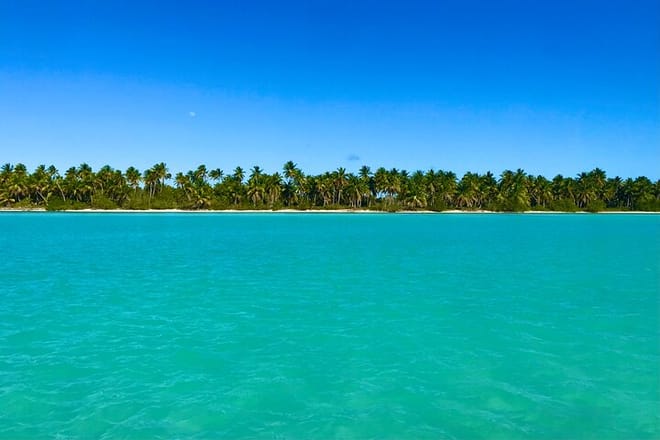 Saona Island Full Day Tour with Buffet Lunch, Paella, & Open Bar 5