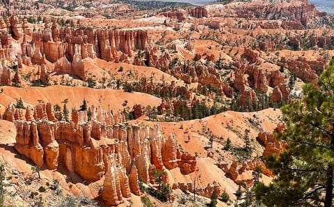 Private Day Tour of Bryce Canyon and Zion from Las Vegas