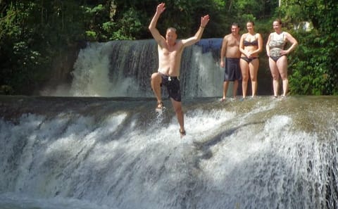 Private Day Tour to YS Falls and Black River from Negril