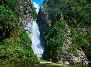 Oxa-02 : Villa Rica Expedition - Coffee Culture and Rainforest Discovery