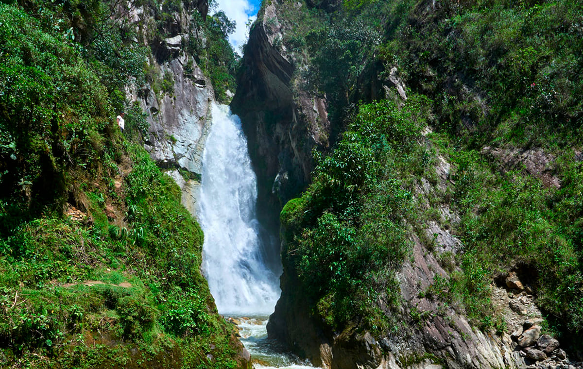 Oxa-02 : Villa Rica Expedition – Coffee Culture and Rainforest Discovery