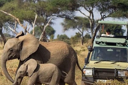 3Day Amboseli National Park Budget Safari on 4×4 Landcruiser Jeep