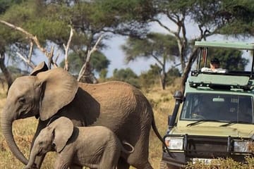 3-Day Budget Safari in Amboseli National Park, Kenya