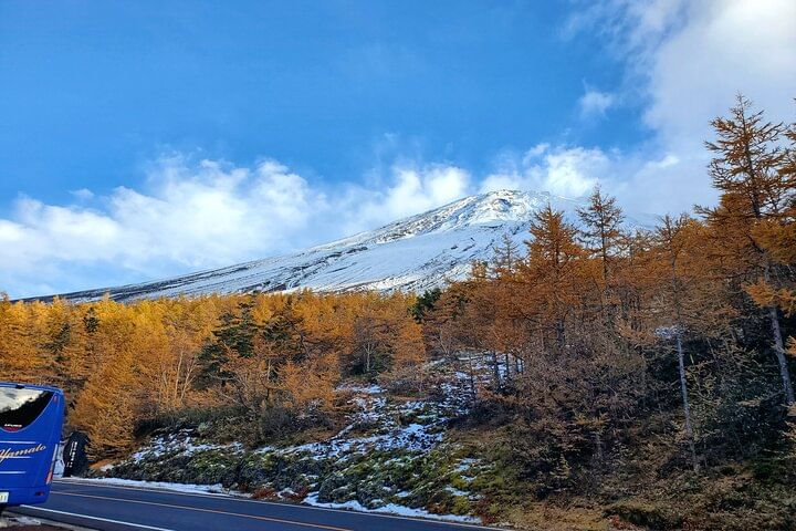 Mt. Fuji & Hakone English Guide Private Tour for 9 people