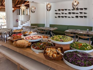 Full Day Big 5 Safari at Aquila Game Reserve from Cape Town