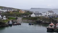 Marine wildlife cruise to Inishturk Island. Galway. Private guided.  5