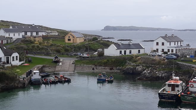 Marine wildlife cruise to Inishturk Island. Galway. Private guided.  5
