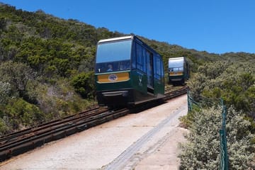 Private Tour of Cape of Good Hope and Boulders Beach Penguins