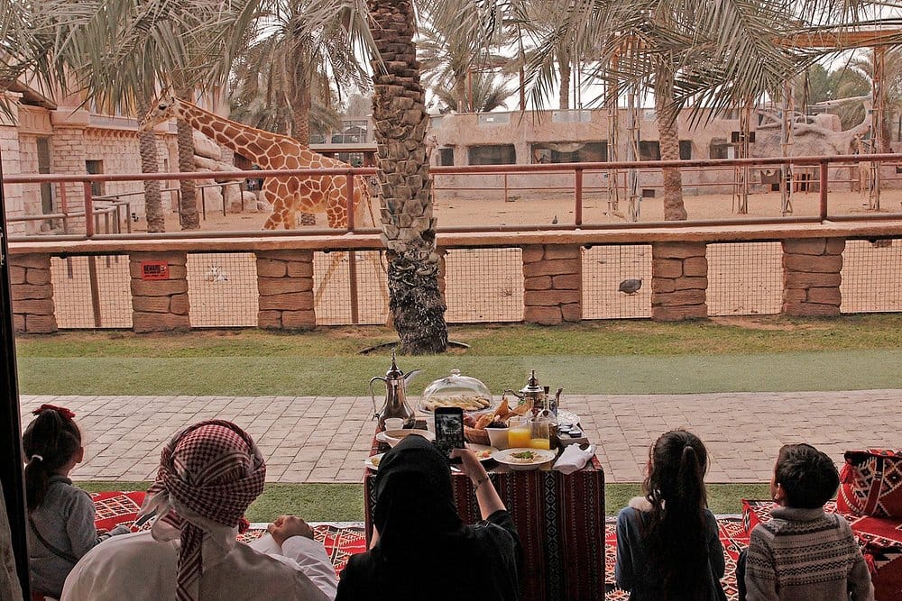 Abu Dhabi: Emirates Park Zoo – Interact, Explore, Discover Wildlife!