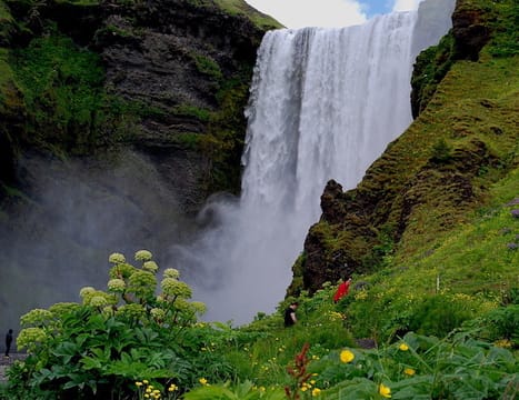 - PRIVATE TOUR - 5 Day Family Winter Tour