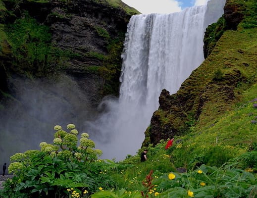 - PRIVATE TOUR - 5 Day Family Winter Tour