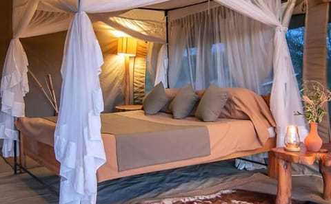 3-Day Amboseli National Park Safari from Nairobi