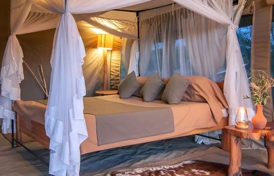 3 Days Amboseli National Park Lodge Safari In Kenya