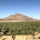 Draa Valley - Agdez