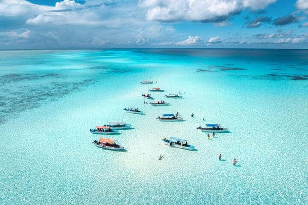 Mnemba Island Private Boat – Snorkel & Dolphin Adventure