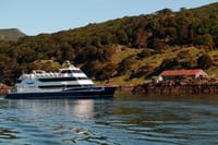 Beagle Channel Navigation with trekking at the Bridges Islands 4
