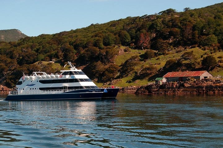Beagle Channel Navigation with trekking at the Bridges Islands 4
