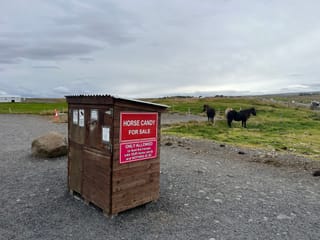 Golden Circle & Meet the Icelandic Horses - Small Group Minibus, photo 19