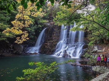 Rain Forest Trekking at Kitulgala Forest Reserve Sri Lanka