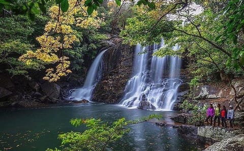 Rain Forest Trekking at Kitulgala Forest Reserve Sri Lanka