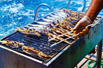 Boat trip in Agadir from Taghazoute