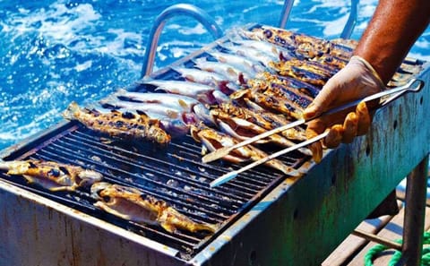 Boat Trip Adventure along Agadir's Stunning Coastline