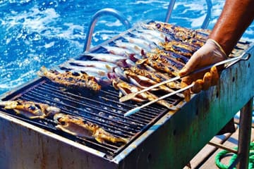 Boat Trip Adventure along Agadir's Stunning Coastline