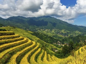 6-Day Guilin, Yangshuo and Longsheng Tour