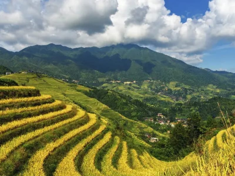 6-Day Guilin, Yangshuo and Longsheng Tour