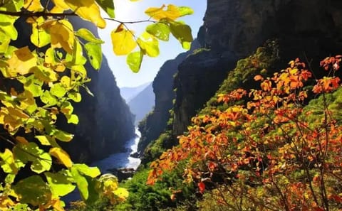 Private Tour of Tiger Leaping Gorge from Lijiang