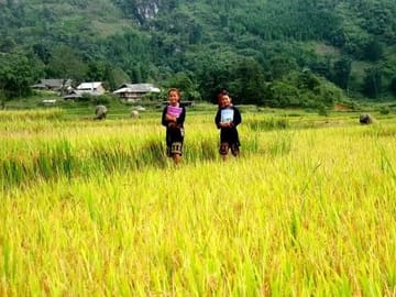 2-Day Overnight Sapa Trekking Tour by Bus from Hanoi
