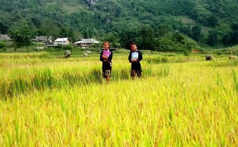 Sa Pa Trekking 3 days 4 nights – Private Tours + Overnight Train