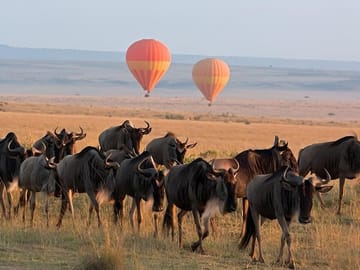 3 days 2 nights budget safari to Maasai Mara National Reserve