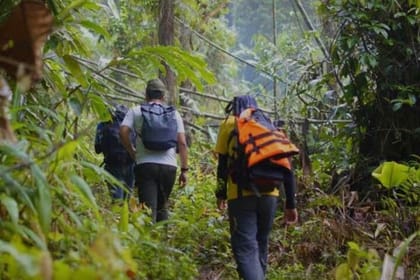 Half Day Bali Munduk Trekking Trip