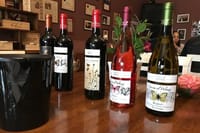 Exclusive Private Bolgheri Experience from Florence: The Land of the Super Tuscan 5