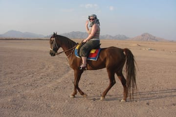 Horse Riding Adventure in Sharm El Sheikh, Egypt