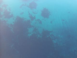 Freedive foodhunt , photo 8