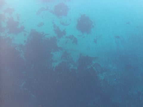 Freedive foodhunt , photo 8