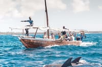 Kizimkazi Dolphin Tour in Zanzibar 1