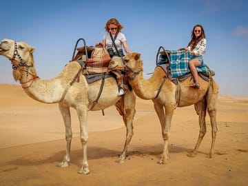 Camel Riding Adventure in Hurghada's Desert Landscapes